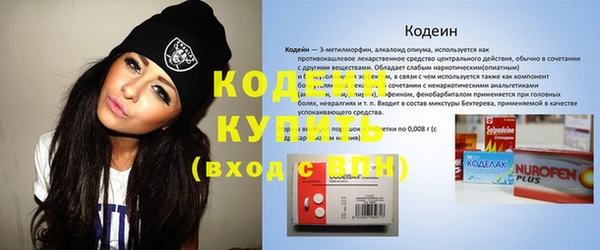 2c-b Ельня