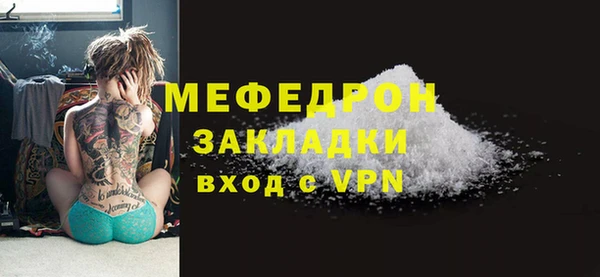 индика Костерёво