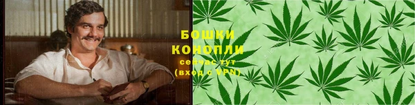 СК Кодинск