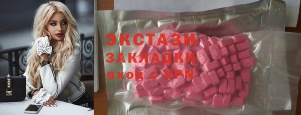2c-b Ельня
