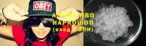 2c-b Ельня