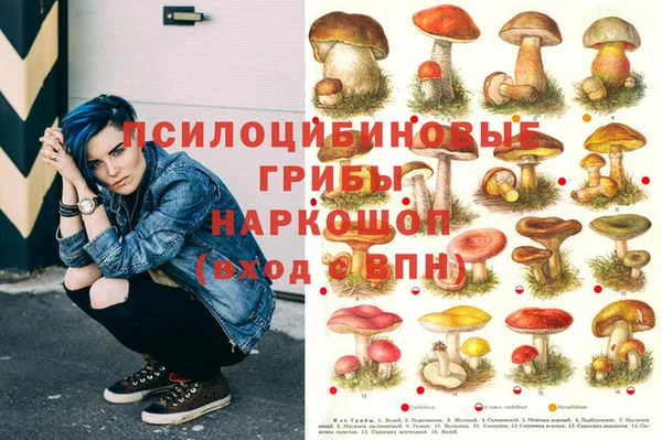 2c-b Ельня