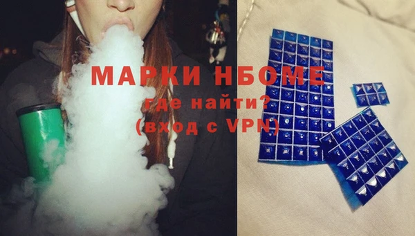 индика Костерёво