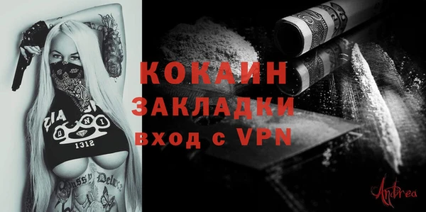 индика Костерёво