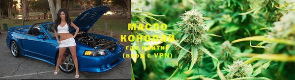 2c-b Ельня